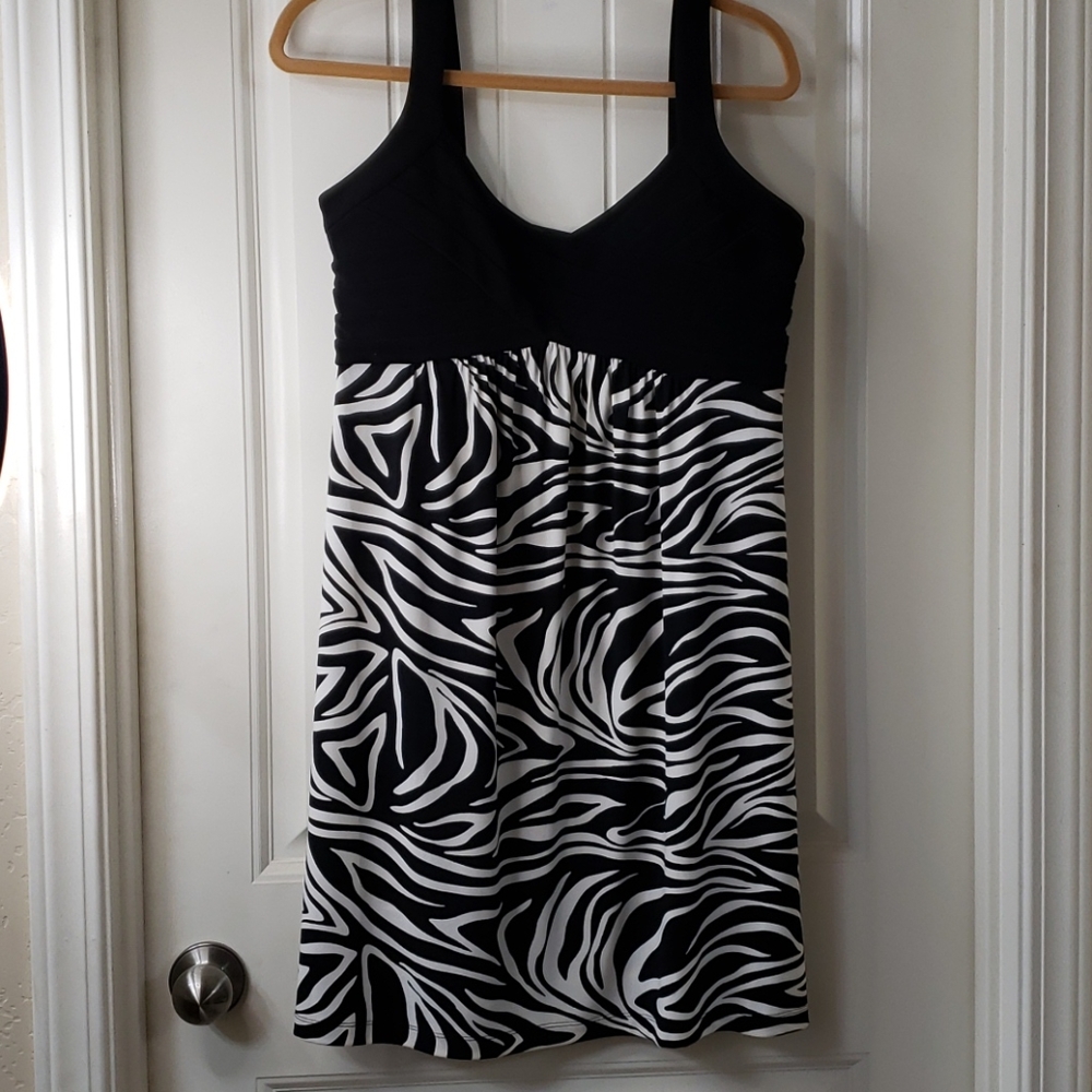 Enfocus Studios zebra dress